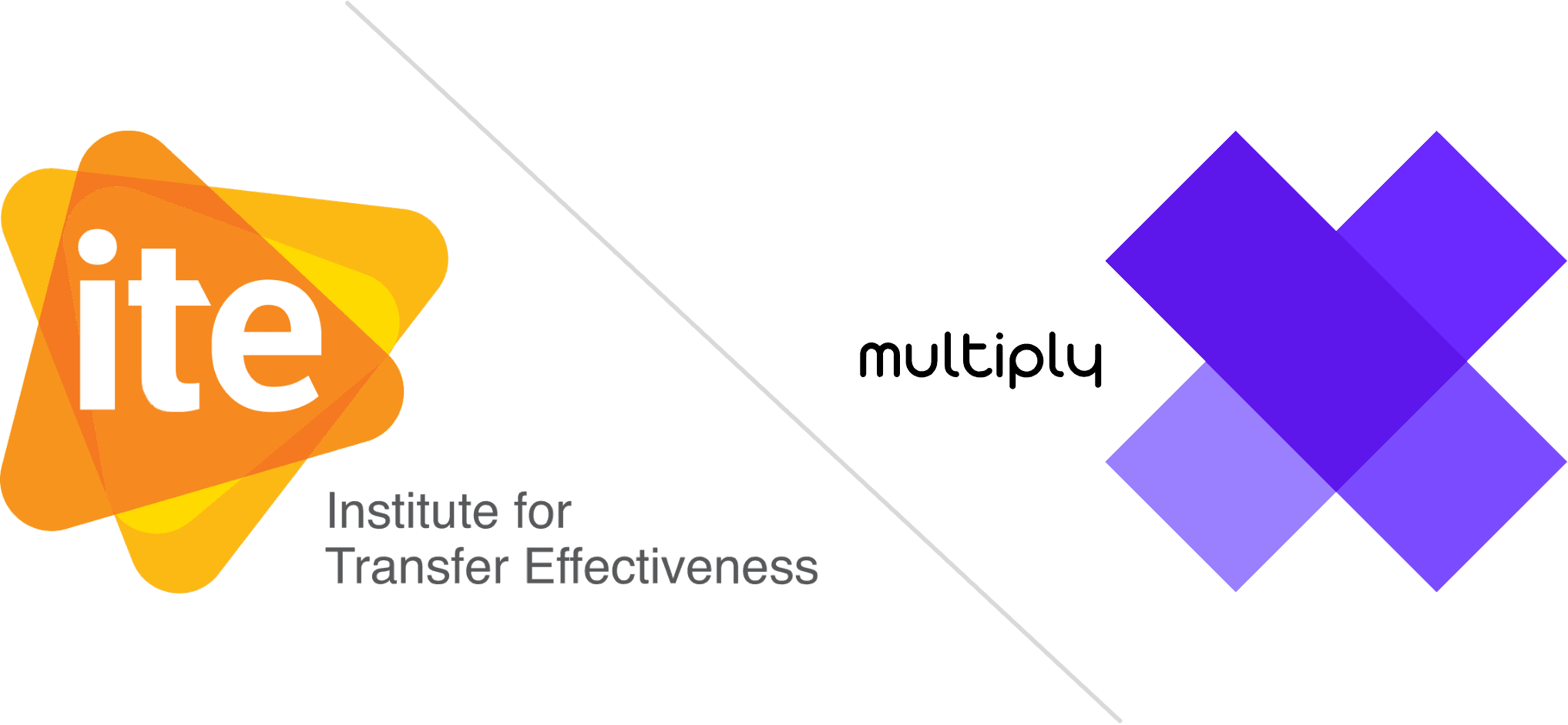 Multiply Transfer and the Institute for Transfer Effectiveness
